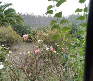 Veronica House | Los Almendros