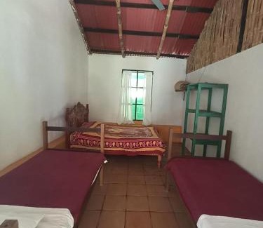 Sontecomapan Cabin | Los Amigos Ecoturismo y Reserva Natural