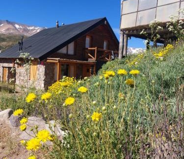 Malargue Cabin | Los Molles Complejo Turistico