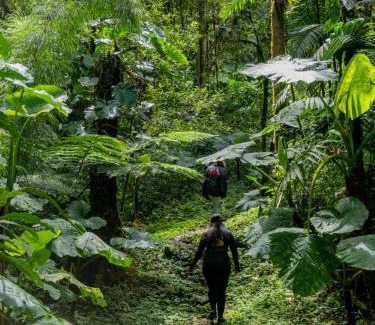 Cerro Punta Hotel | Los Quetzales Ecolodge & Spa