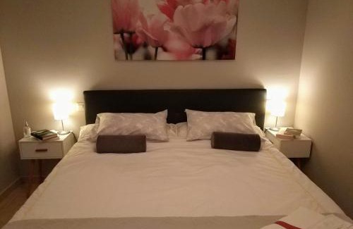 Logrono Historic Centre Apartment | Los Tejados de Laurel