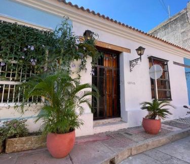 Barrio Centro Hotel | Lotus Centro HIstorico