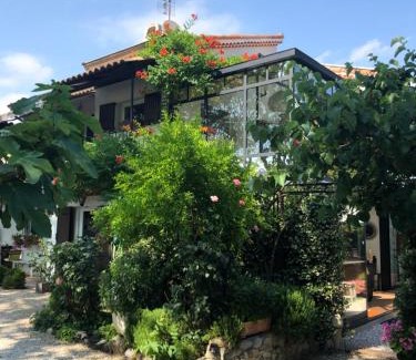 Levens House | LOU PANTAI