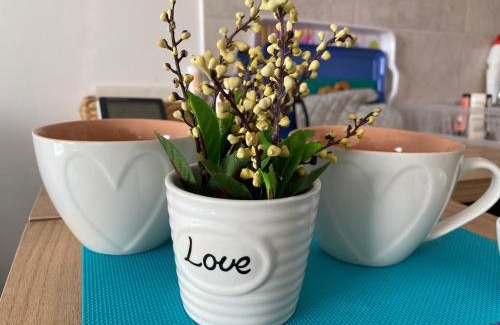 Skopje Apartment | Love Birds Place