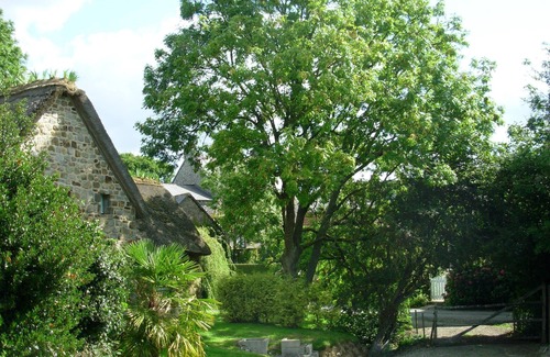 Saint-Maurice-en-Cotentin House | Lovely cottage 10 minutes from the beach