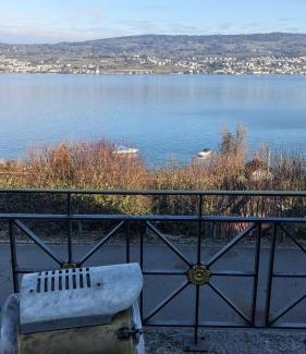 Horgen District House | Lovely 2-bed Suite, Swimmingpool, beach and Boat