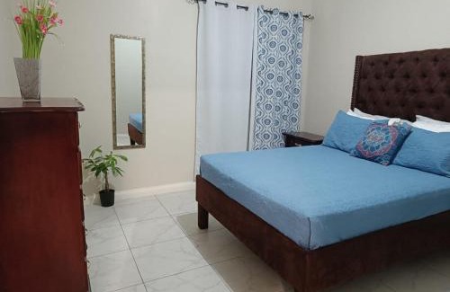 New Kingston Apartment | Lovely 2 BedRoom c̅ Netflix across National Stadium Kingston