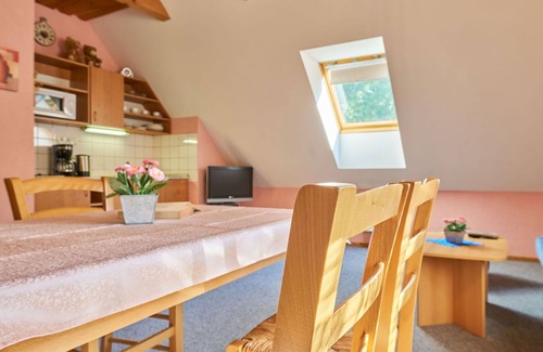 Starkov Villa | Lovely apartment in villa for 4 people with pool, WIFI, TV, patio and pets allowed