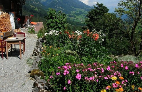 Oberwil im Simmental Apartment | Lovely apartment for 5 people with WIFI, balcony and parking