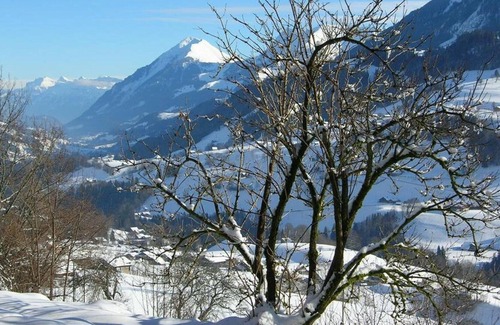 Oberwil im Simmental Apartment | Lovely apartment for 5 people with WIFI, balcony and parking