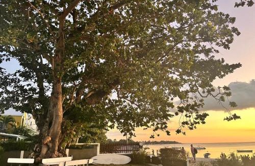 Trou aux Biches House | Lovely beach front house 3 bedrooms in Trou aux Biches Mauritius