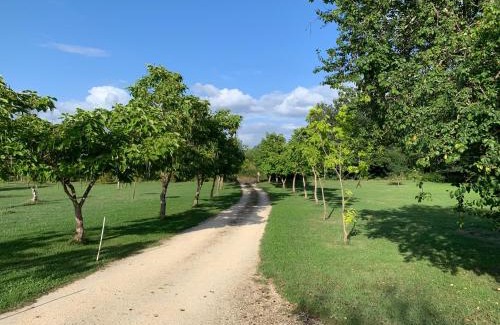 Saint-Etienne-de-Villereal House | Lovely gites with private pool, privacy & spacious garden