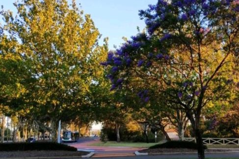 Willetton House | Lovely granny flat