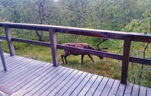 Lofsdalen House | Lovely Home In Lofsdalen With Kitchen
