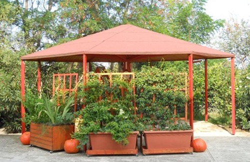 Catignano Apartment | Lovely house with private pool in the heart of nature,between mountain and sea