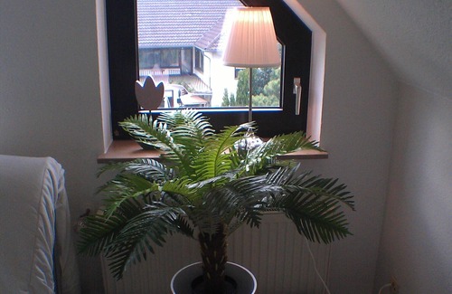 Grafschaft Apartment | Lovely studio - between Bonn & Ahrweiler - close to red vineyards & Rhine