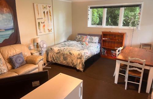 Remuera House | Lower level unit in the backyard, past the gate on the right of house