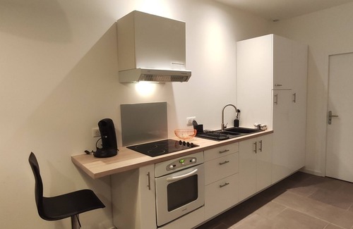 Ancenis Apartment | Lower studio with garden view
