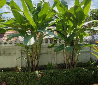 Luang Prabang Hotel | Luang Prabang Residence & Travel