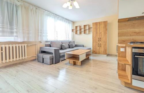 Fabryczna Apartment | Lubuska Comfy Wooden Studio by BookingHost