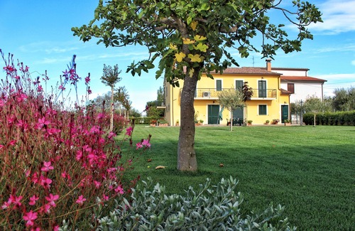 Casenuove Apartment | Luca's house - relax a few steps from Assisi