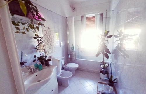 Lucca House | Luce