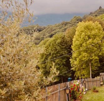 Sanfront House | Luce sul Bric