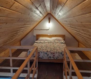 Fagaras House | Ludo