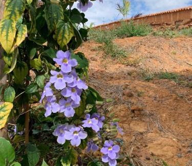 Barichara Hotel | Lujoso hotel boutique en barichara