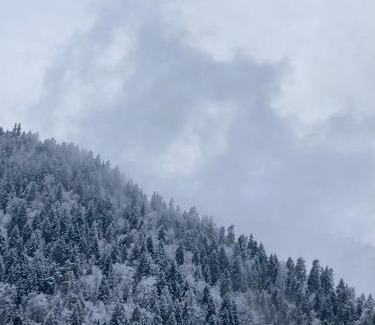 Likani Ski Chalet | LUMA Sadgeri (Borjomi)
