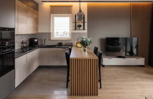 Lodz Apartment | Lumina Apart near Pasaż Łódzki