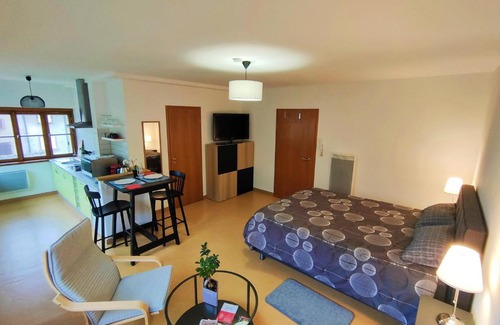 Thann Apartment | Lumineux Appartement Free Parking Nature Ville tt équipé