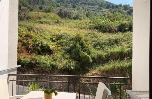 Sangineto Bed & Breakfast | Luna e stelle