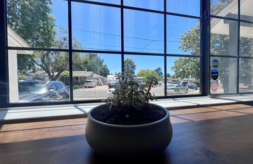 Castro Valley House | Luna's Hosted Retreat - Private Family & Pet Friendly 2BR Suite