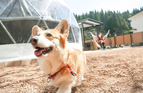 Eiheiji-cho Hotel | Lupo Forest "GRAN FOREST Echizen Miyama" - Vacation STAY 76029v