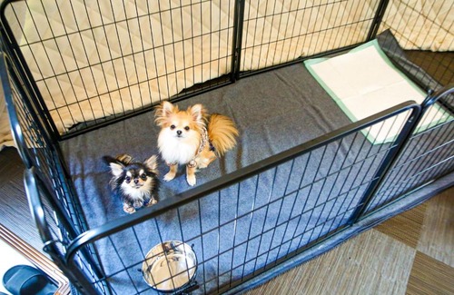 Eiheiji-cho Hotel | Lupo Forest "GRAN FOREST Echizen Miyama" - Vacation STAY 76029v