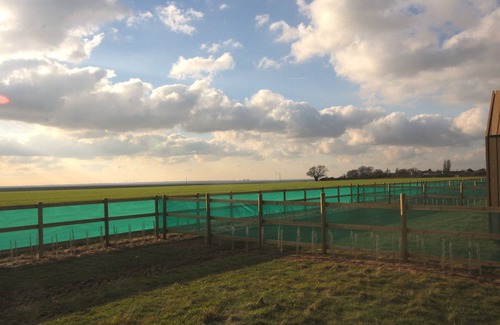 Brightlingsea Cottage | Lushna Petite 3 at Lee Wick Farm Glamping