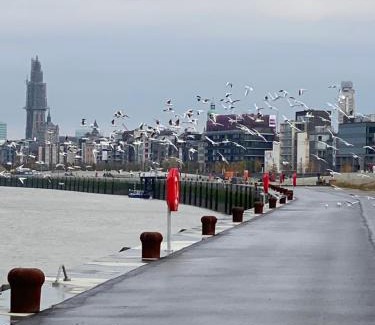 Antwerp Apartment | Luxe-appartement aan de Schelde