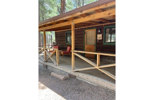 Alpine Apartment | Luxe cabin getaway in the tall pines of Alpine AZ