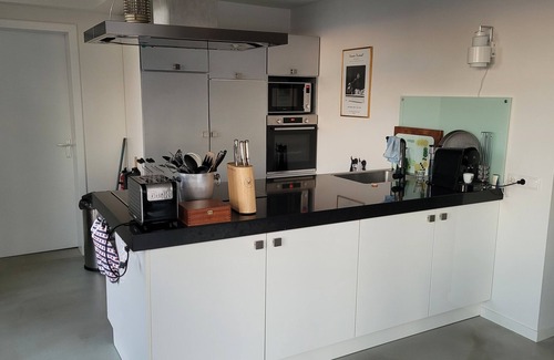 Delfstrahuizen Villa | Luxe huis de Freule met eigen aanleg en zwemplek.