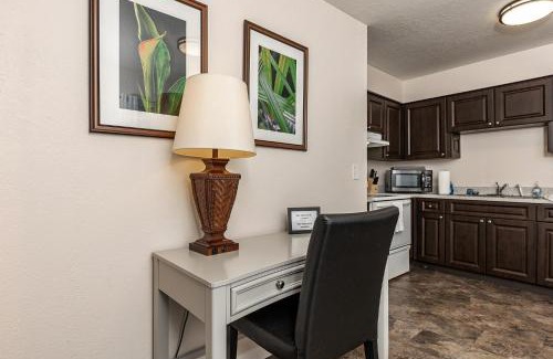 Tarpon Springs Apartment | Luxurious 2 bedroom near Innisbrook Golf Resort!