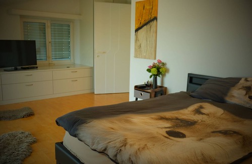 Horw Villa | Luxurious 3-floors Villa. Pets-Friendly! 5 min to the city centre of Lucerne!