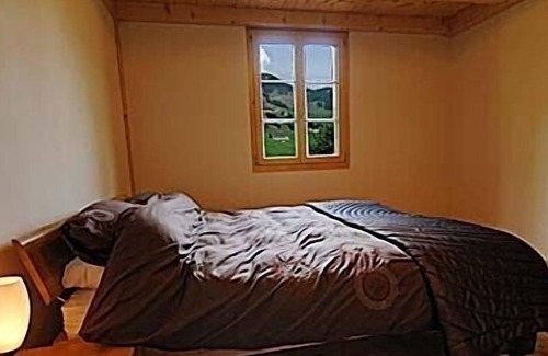 Chateau-d'Oex Apartment | Luxurious apartment with 5* spa facilities