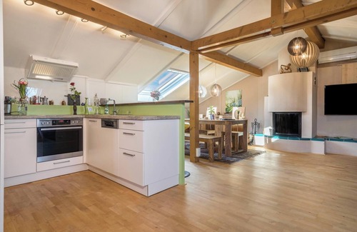 Hoechst Apartment | Luxurious Penthouse Apartment Close to Lake Constance with Garden & Wi-Fi