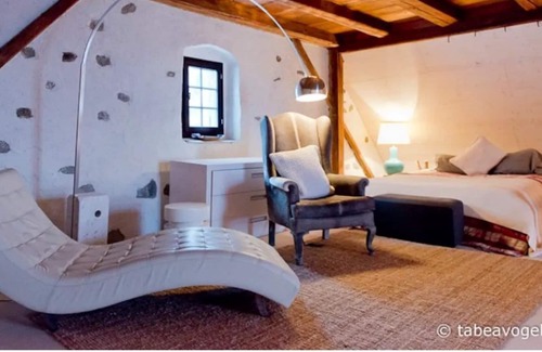 Horgen District House | Luxury 250 yr old Swiss winefarm with charming cellar