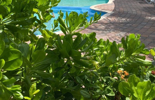Marie Pampoen Apartment | Luxury apartment at exclusive resort - 10 min from Mambo Beach - next to Acoya
