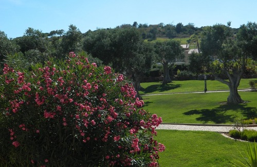 Atalaia Apartment | Luxury Apartment With Panoramic Views - Free Spa & Gym, WiFi and Daily Maid.