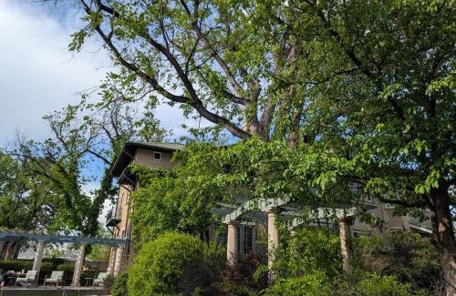 Old North End House | Luxury at the 1912 Sharp Mansion
