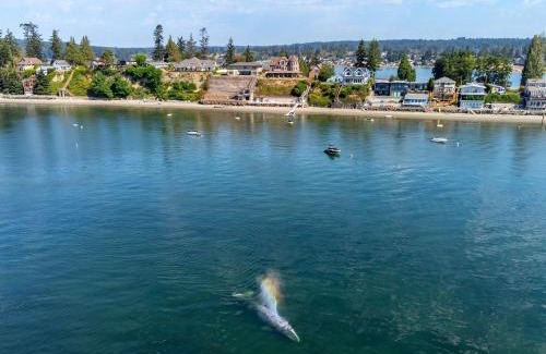 Tulalip House | Luxury Bayfront Oasis with Private Beach Access, Near Tulalip Casino and Outlets!
