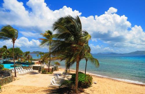 Red Hook Apartment | Luxury Beachfront King Suite on Sapphire Beach II